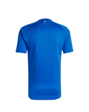 Maglia Fanswear 25/26
