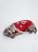 Maglia PET Home 26/27