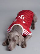 Maglia PET Home 26/27