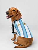 Maglia PET Home 2026