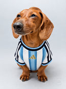 Maglia PET Home 2026