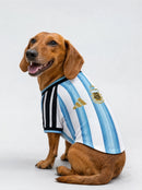 Maglia PET Home 2026