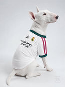 Maglia PET Home 26/27